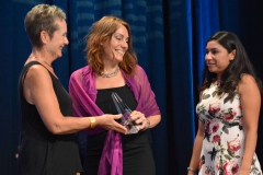 The 43rd Annual IES Illumination Awards