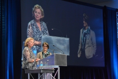 The 43rd Annual IES Illumination Awards