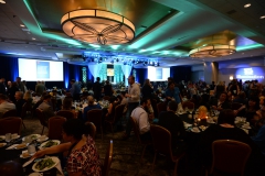 The 2017 IES Illumination Awards Gala