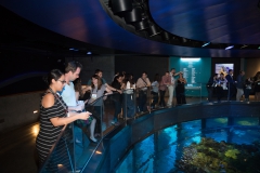 2018 Annual Conference Networking Event