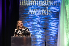 2018 Illumination Awards Gala