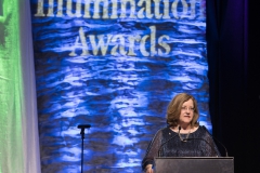 2018 Illumination Awards Gala