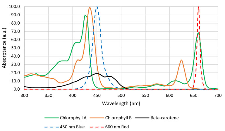 Figure 2. Chlorophyll and β-carotene absorption spectra.