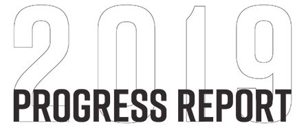 2019 Progress Rerport