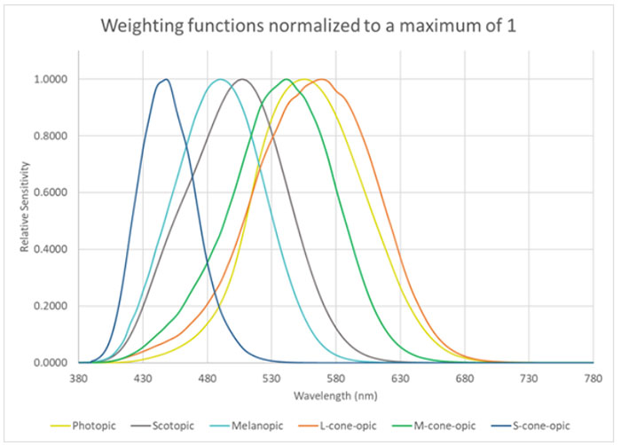 M/P Figure 1