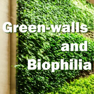 Bringing the Outdoors In: a look at Green-Walls and Biophilia