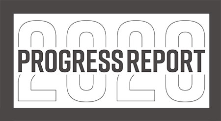 2020 Progress Report