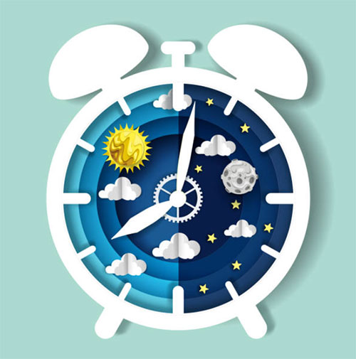 Circadian Clock