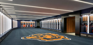 Inside the Bears' Den