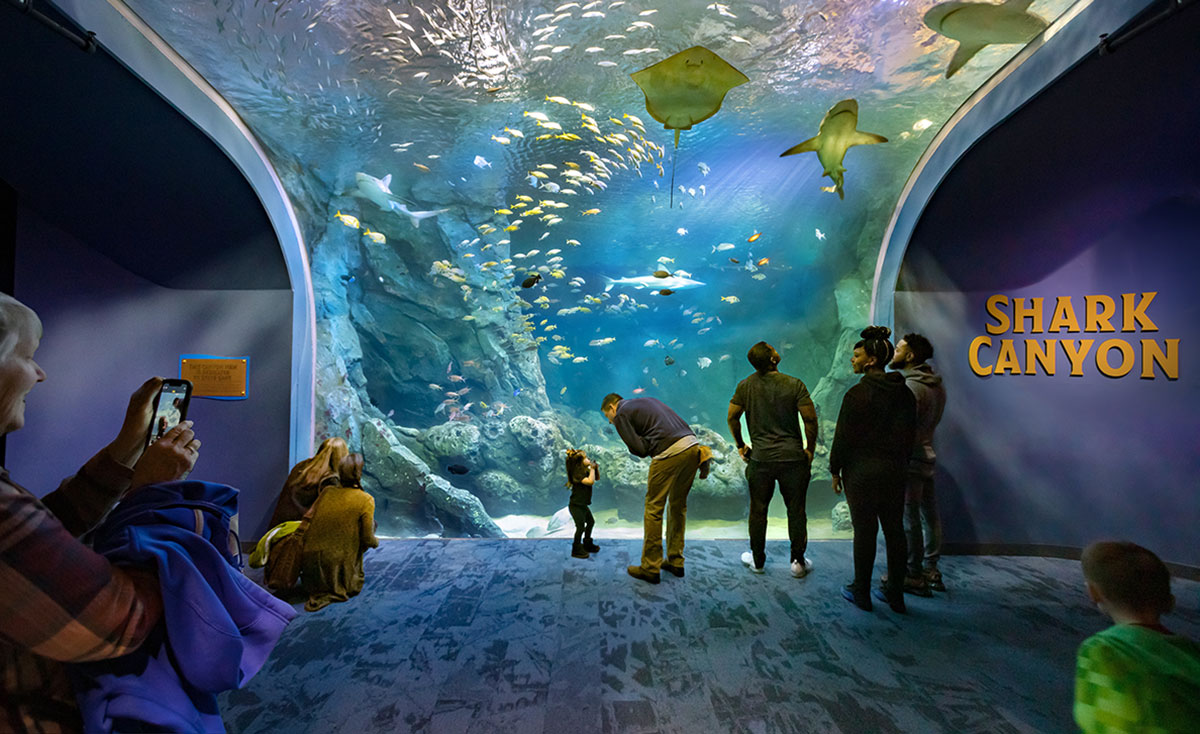 How They Did It: St. Louis Aquarium at Union Station - St Louis Aquarium 01