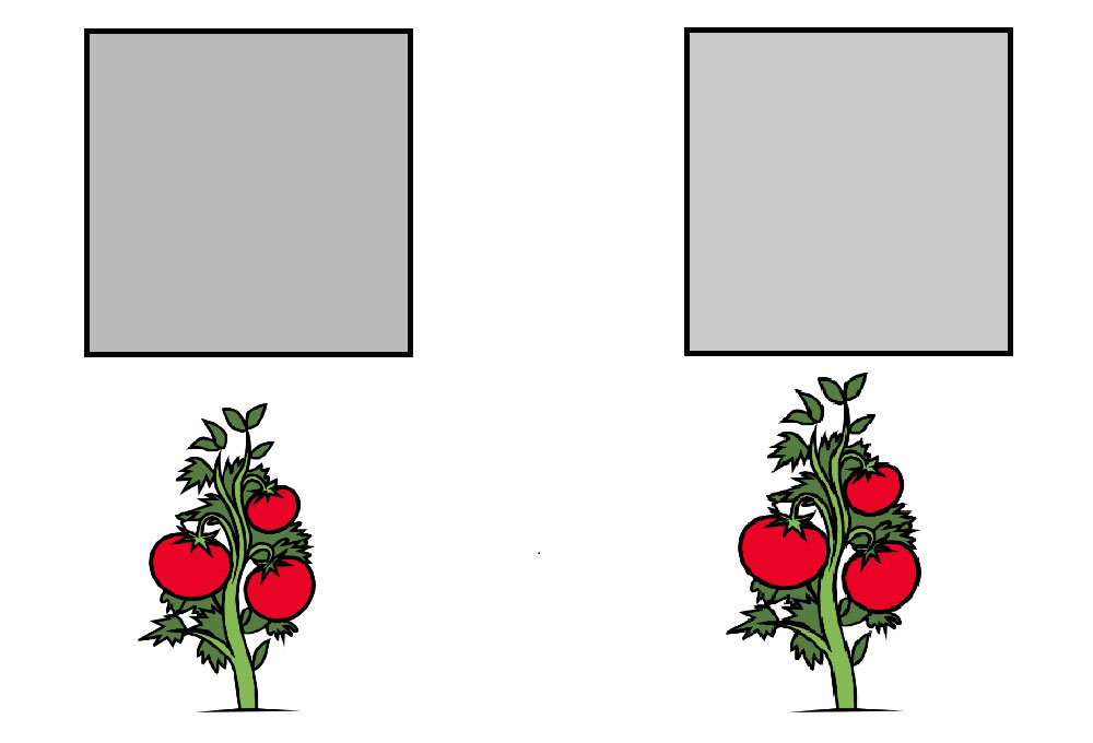 Lighting Uniformity in Horticulture