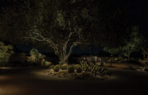The Language of Landscape Lighting
